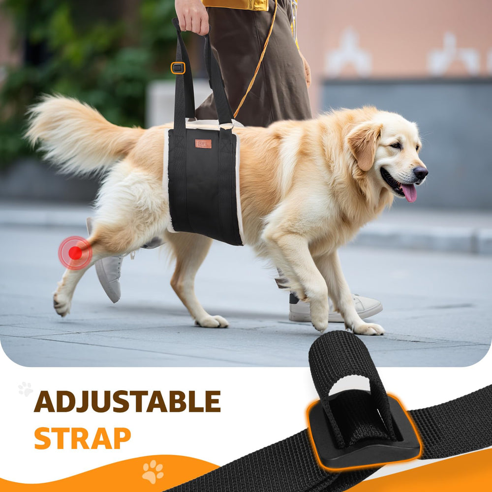 PICK FOR LIFE sac à cordon pour rangement compact et transport facile