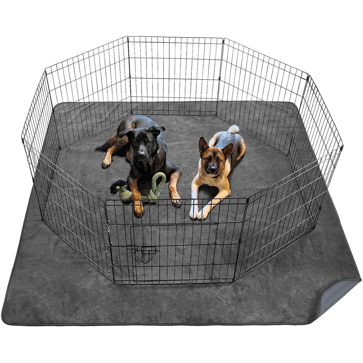 pick for life tapis face avant montrant protection complète du sol
