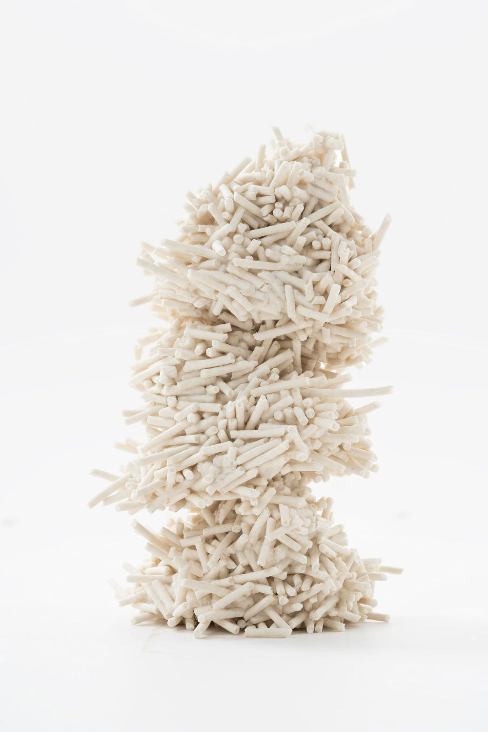 pidan chat utilisant la litière confort et acceptation rapide
