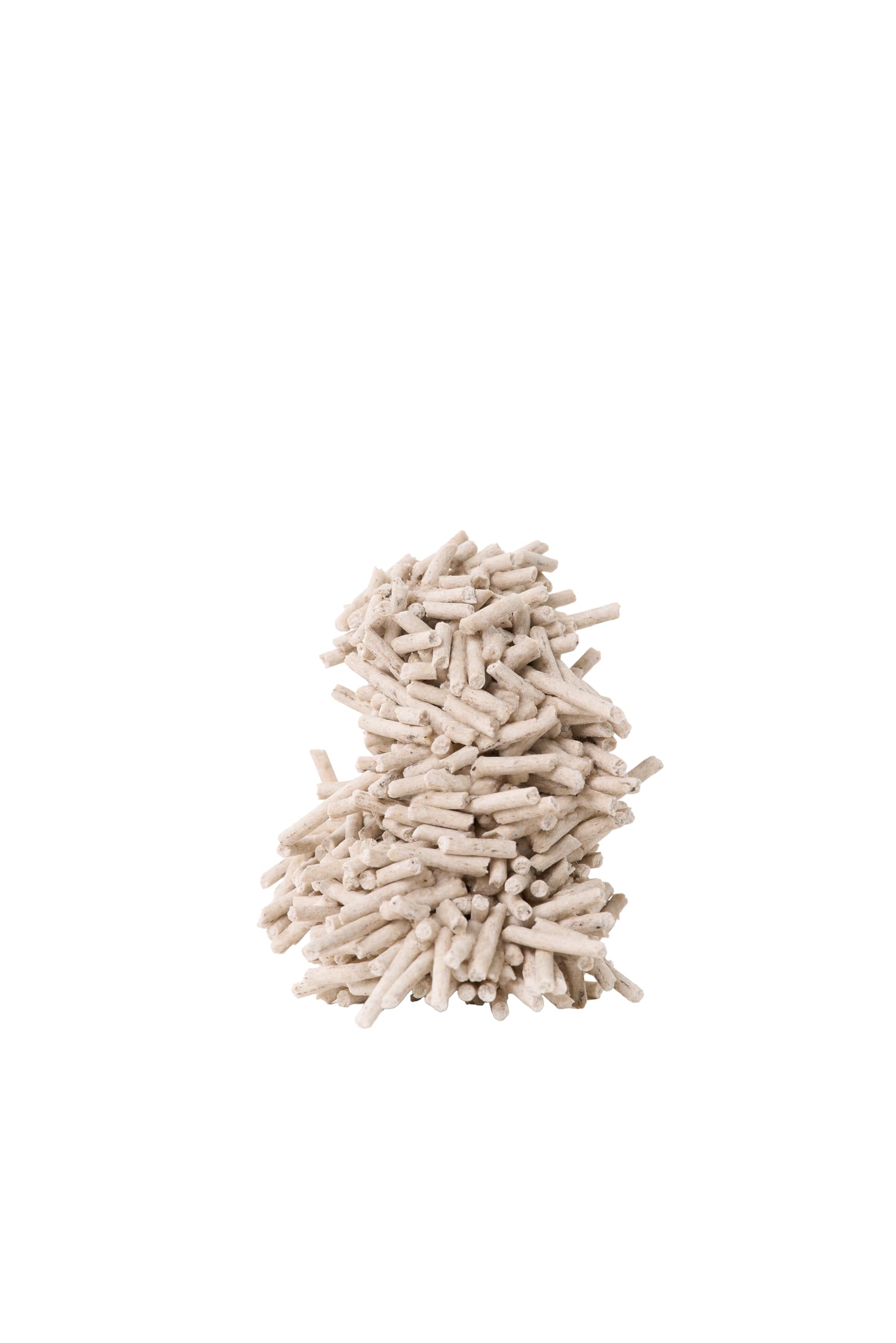 pidan mise en scene eco famille montrant confort du chat et choix durable