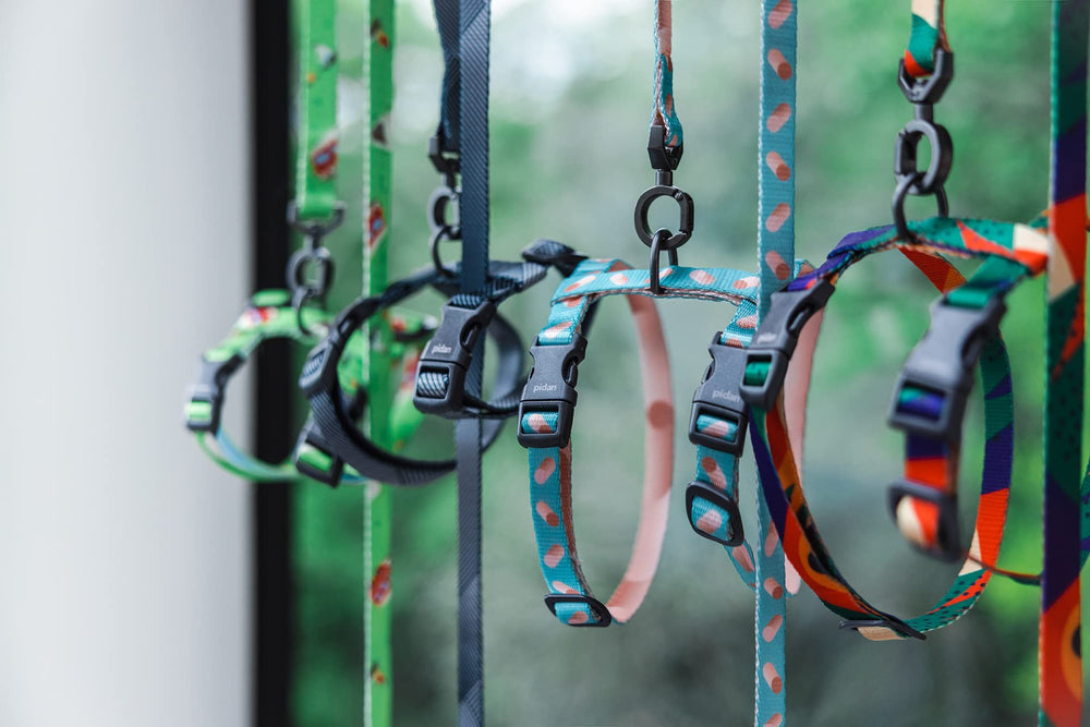 pidan harnais motif multicolore visible en extérieur pour repérage