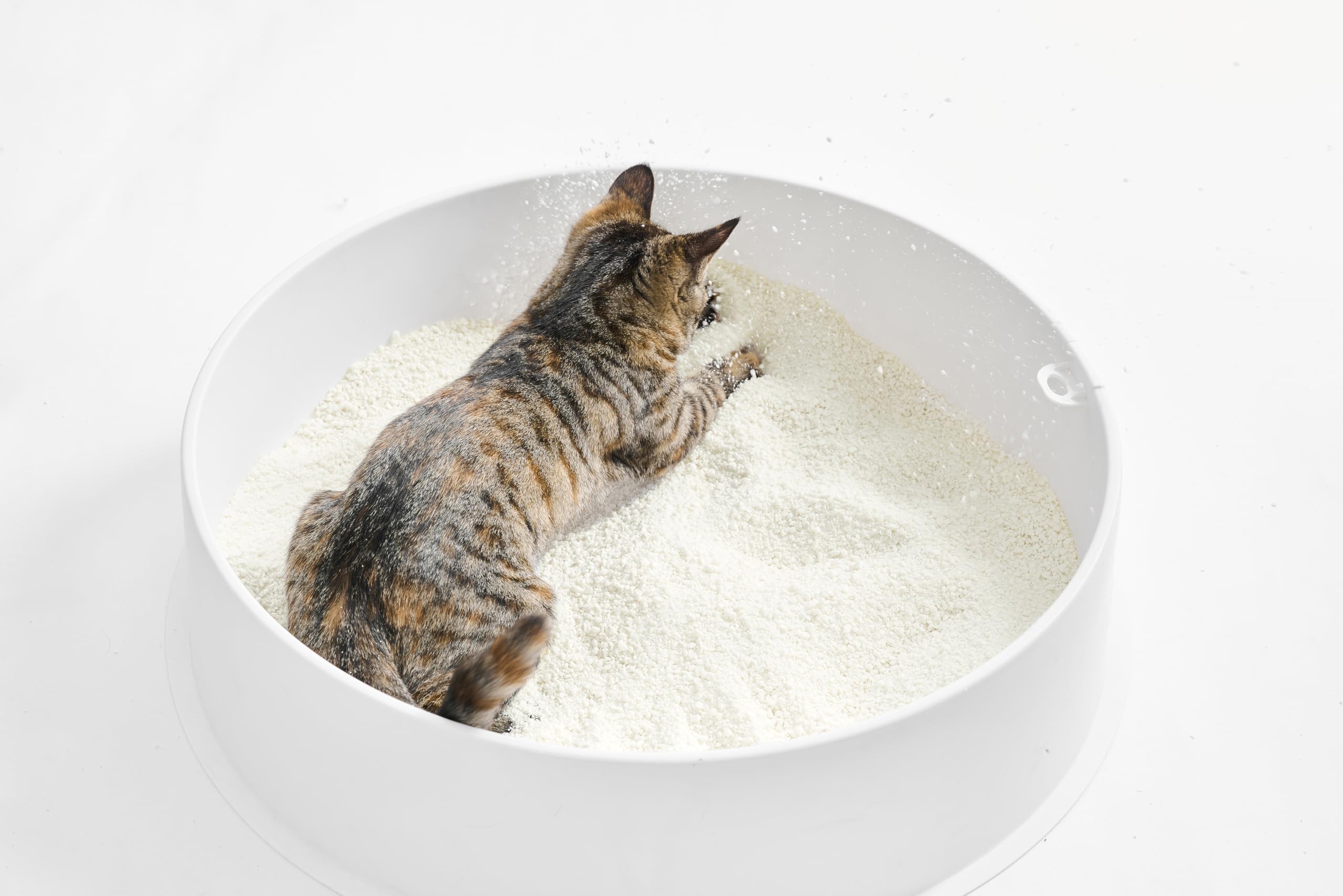 pidan scène lifestyle table basse pour intégration domestique
