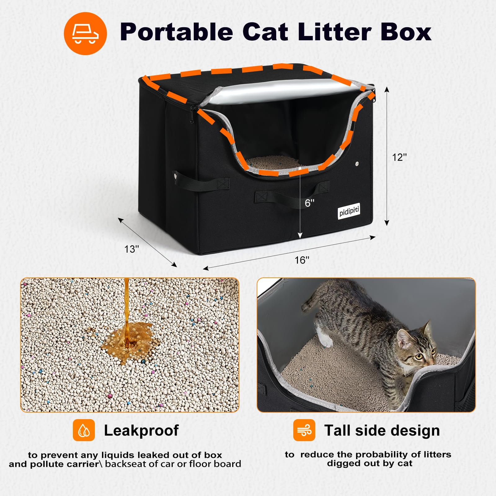 pidipiti intérieur spacieux avec chat détendu pour confort durant voyage