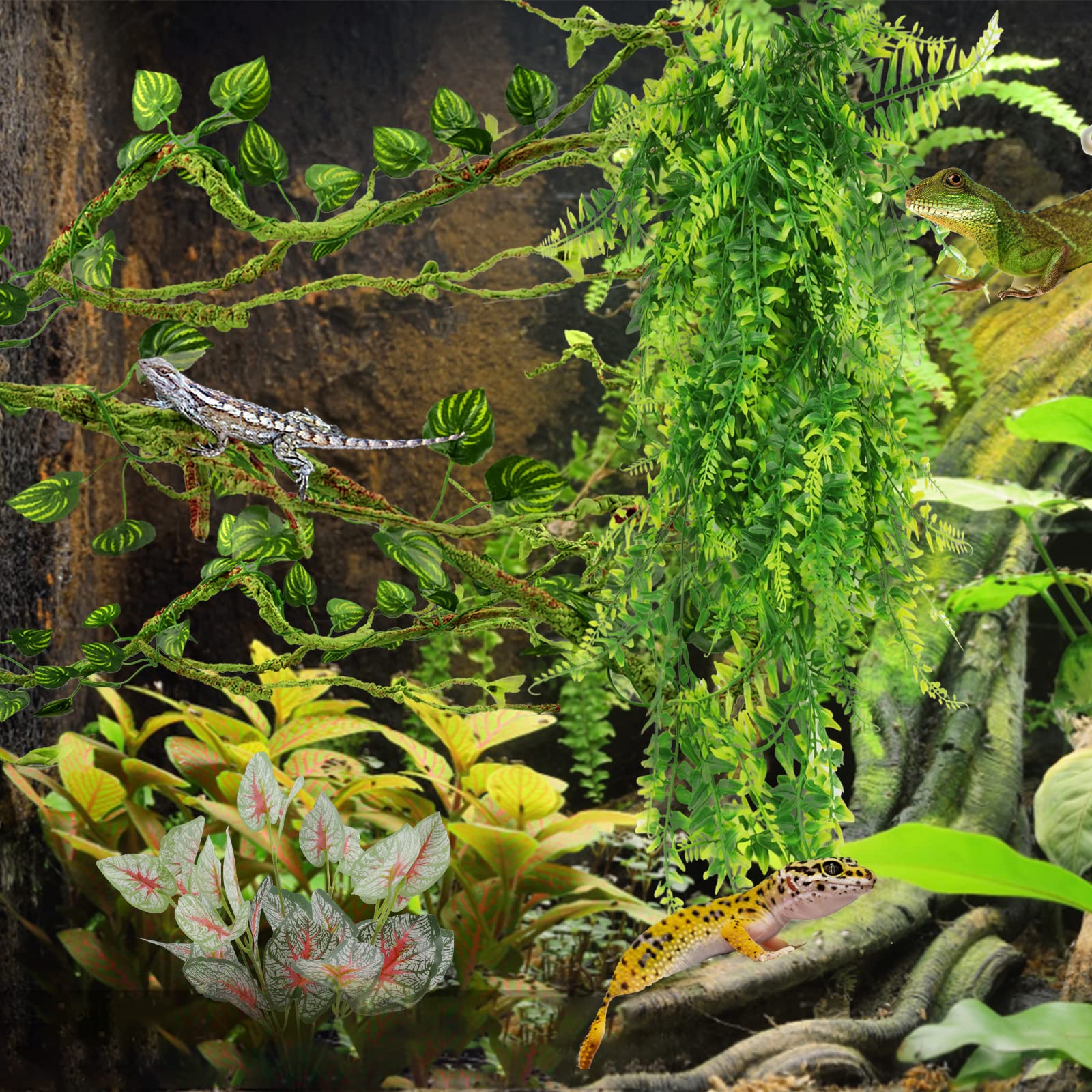 PietyPet mise en scène naturelle décorative améliorant l'esthétique du terrarium