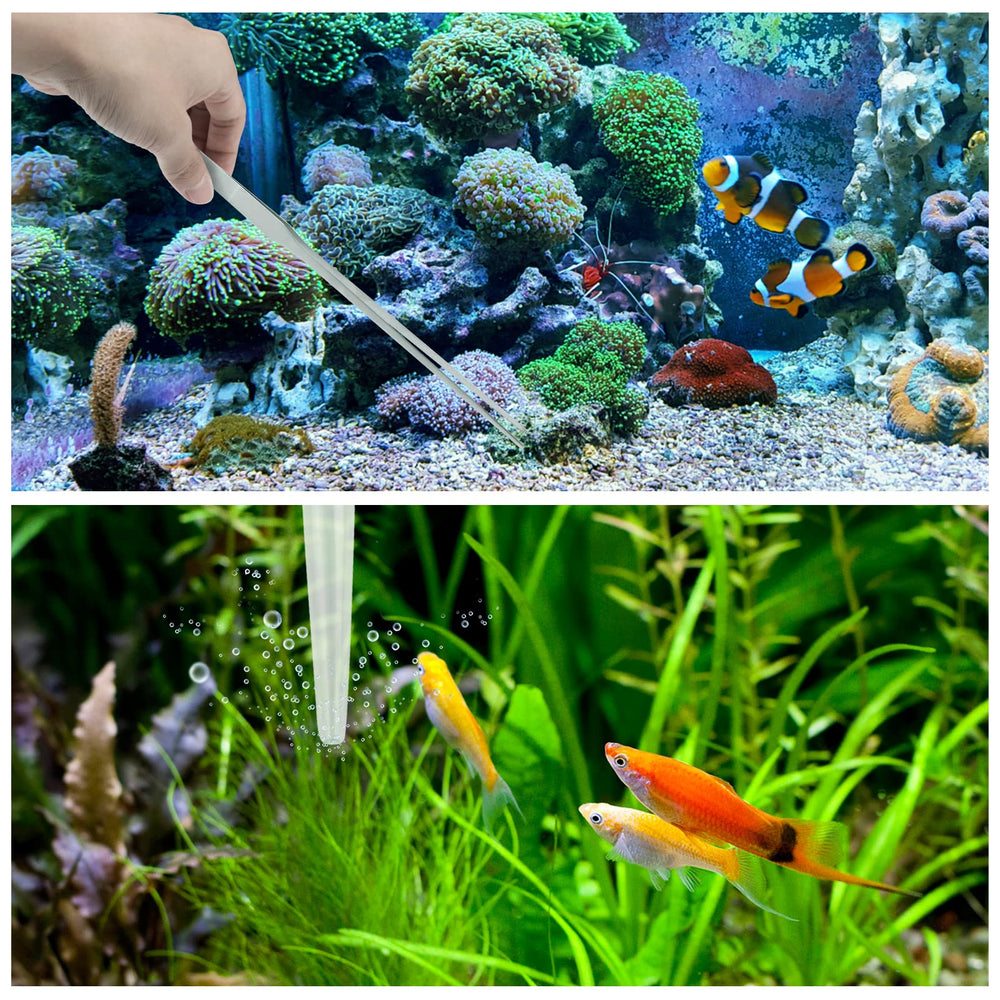 PietyPet outils en situation d'usage montrant nettoyage et manipulation de plantes