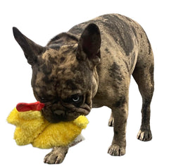 Piggy Poo and Crew gros plan crinkle montrant texture sonore engageante