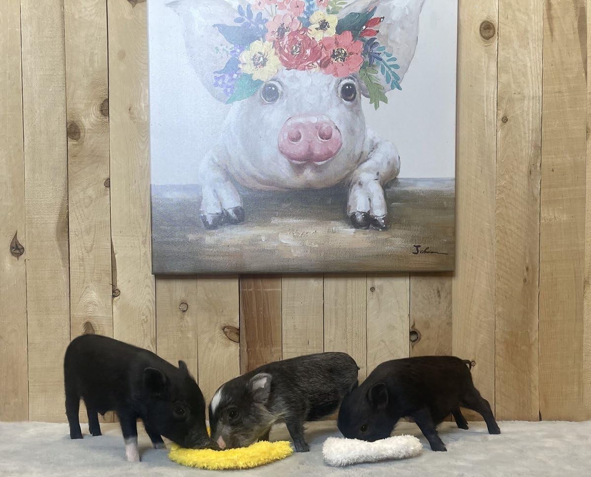 Piggy Poo and Crew comparaison taille pour choisir adapté au chiot