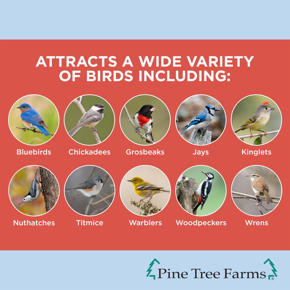 Pine Tree Farms bûche installée sur un tronc facilitant perche pour oiseaux