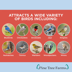 Pine Tree Farms bûche installée sur un tronc facilitant perche pour oiseaux