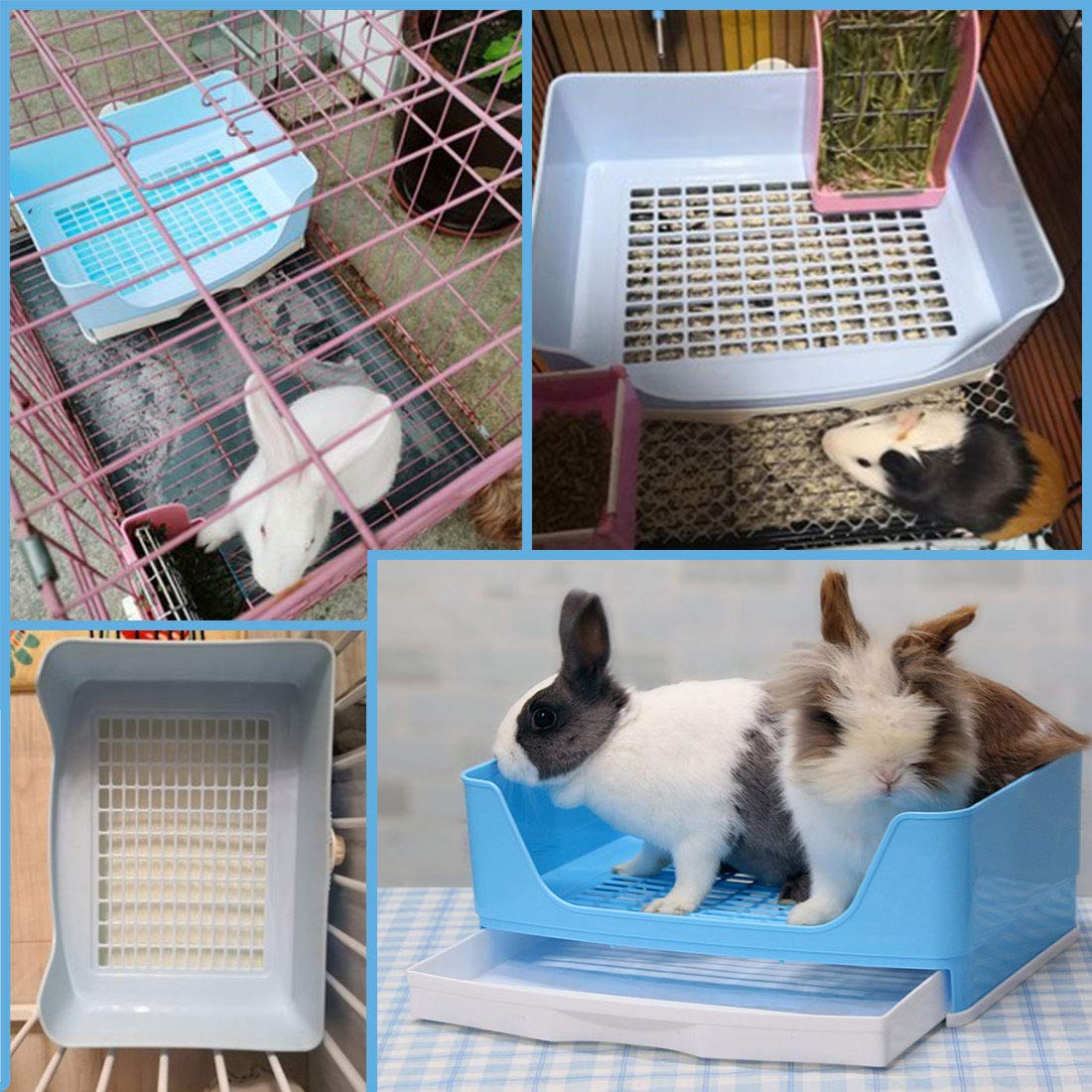 PINVNBY entrée basse en usage pour un accès facile de l’animal