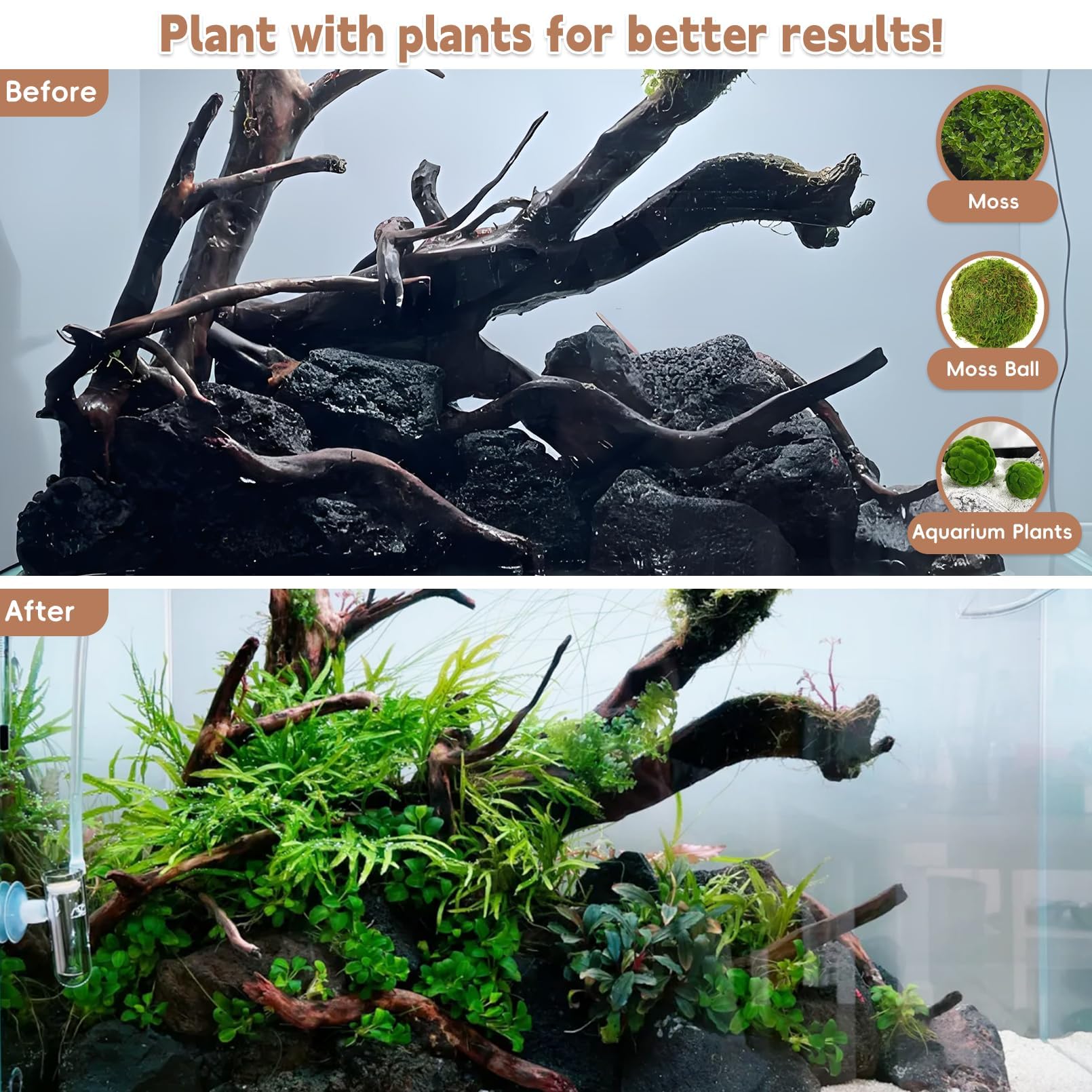 PINVNBY branche dans terrarium offrant surface d'escalade pour reptiles