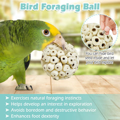 PINVNBY boule sola en usage dans cage avec oiseau actif et diverti