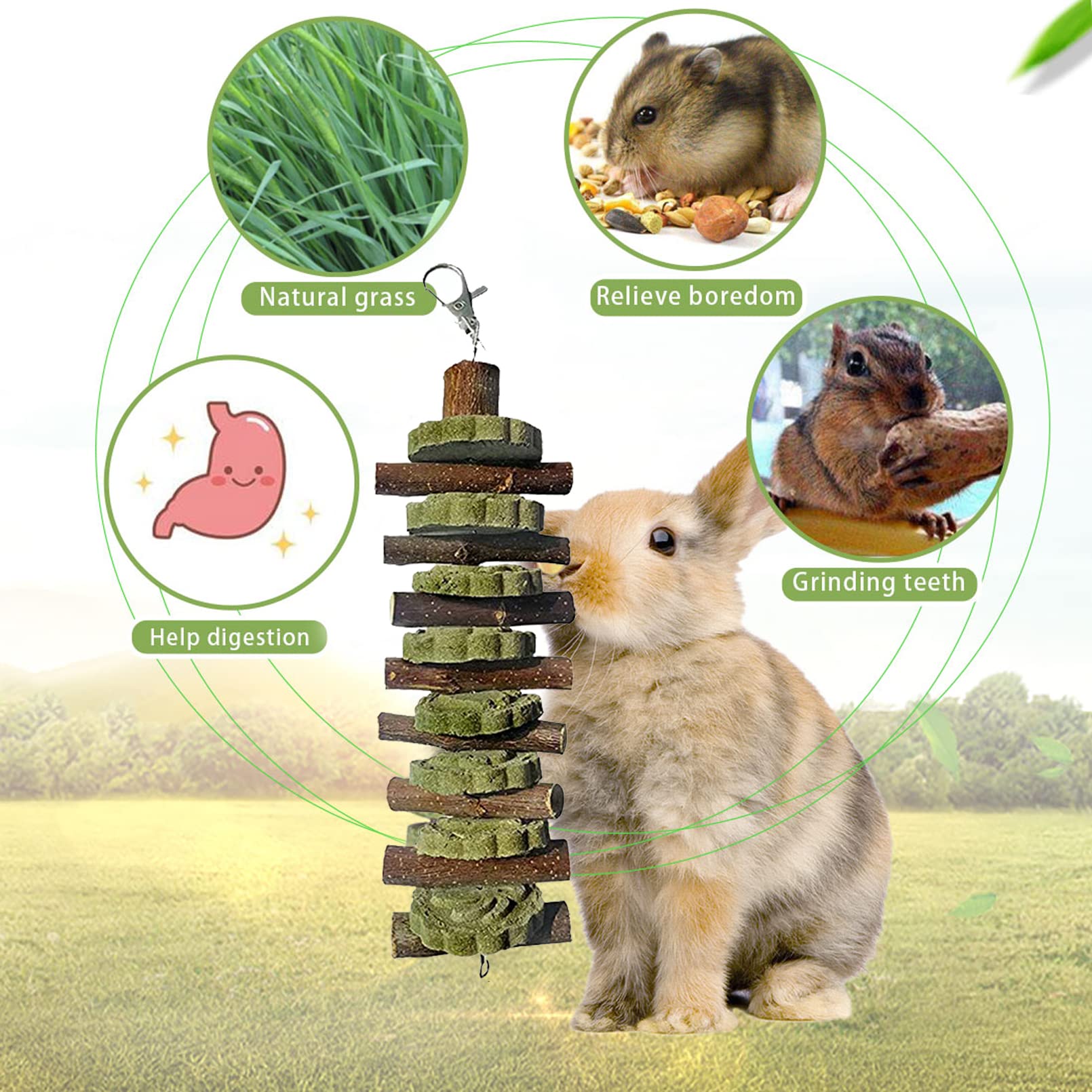 PINVNBY détail des galettes d’alfalfa, foin riche en fibres bénéfique pour la mastication
