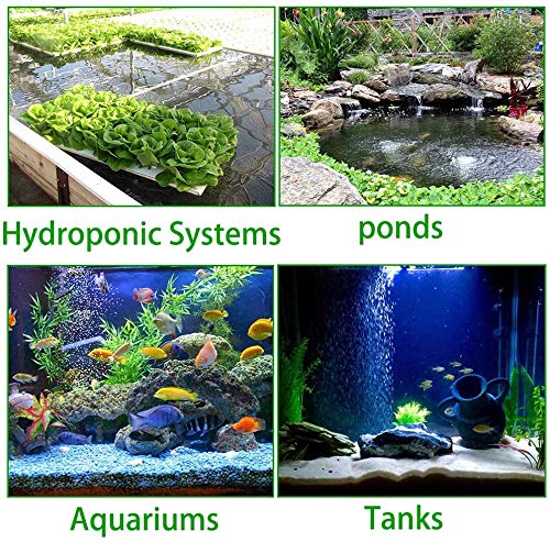 PINVNBY diffuseur en fonctionnement dans aquarium montrant meilleure circulation