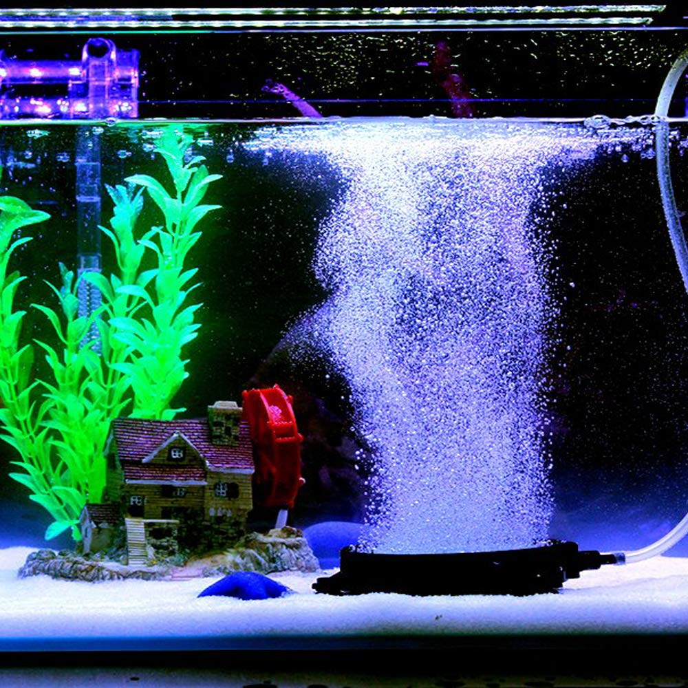 PINVNBY gros plan carborundum montrant texture durable