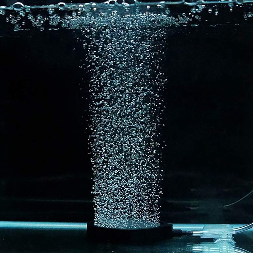 PINVNBY installation dans aquarium position murale propre