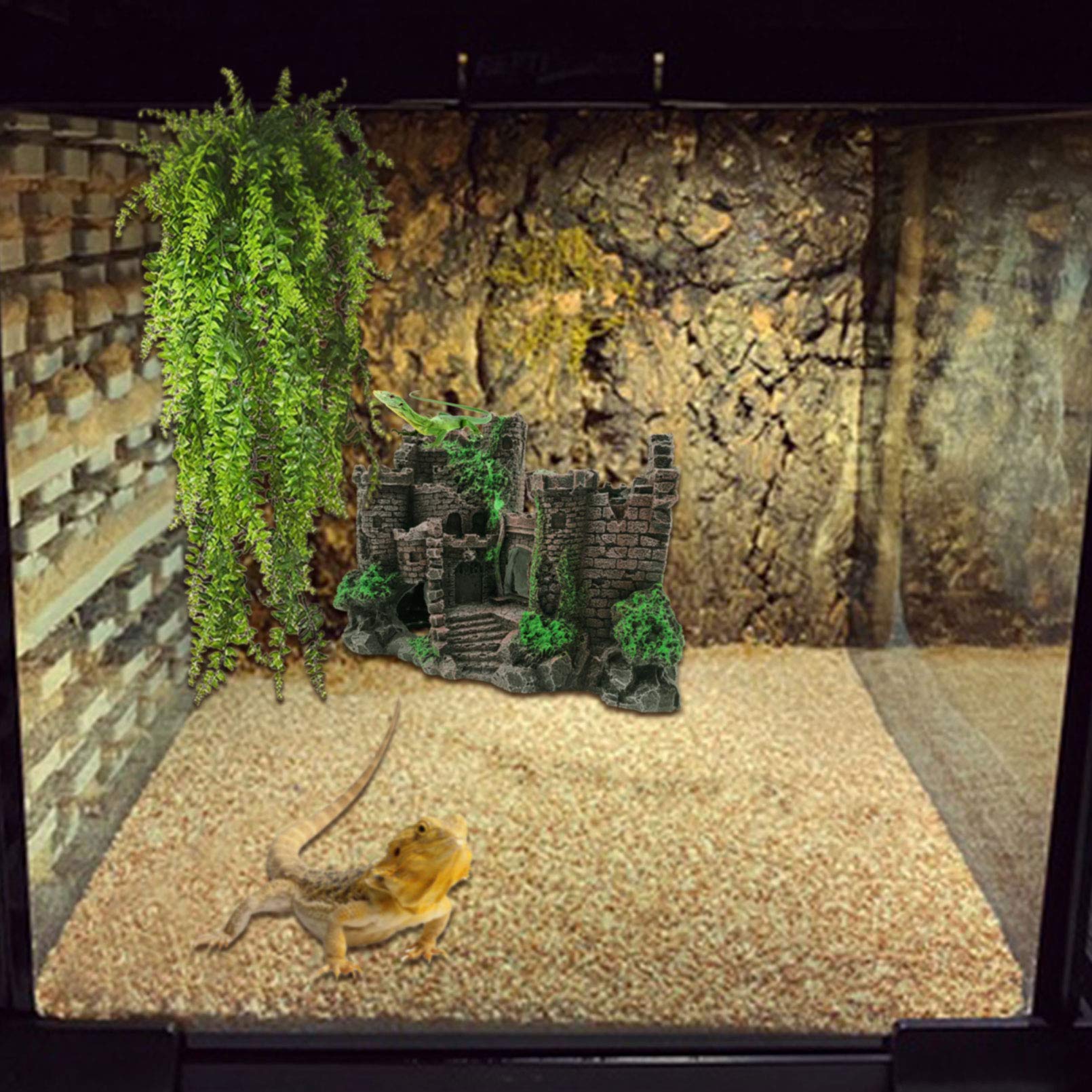 PINVNBY comparaison taille montrant échelle adaptée aux reptiles