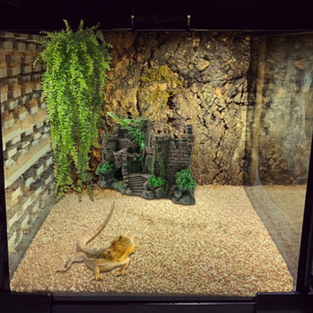 PINVNBY comparaison taille montrant échelle adaptée aux reptiles