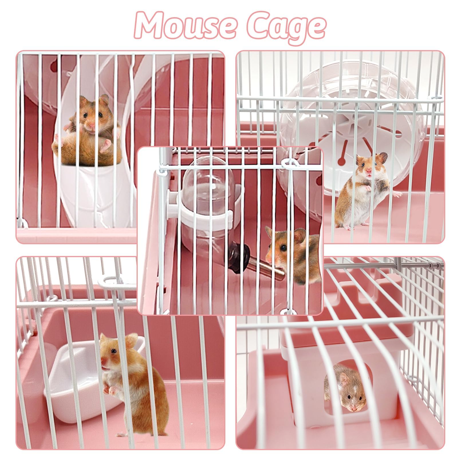 PINVNBY hamster dans la cage montrant confort et sécurité