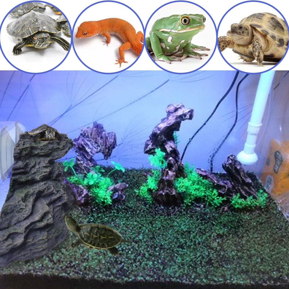PINVNBY comparaison des trois tailles pour choix adapté