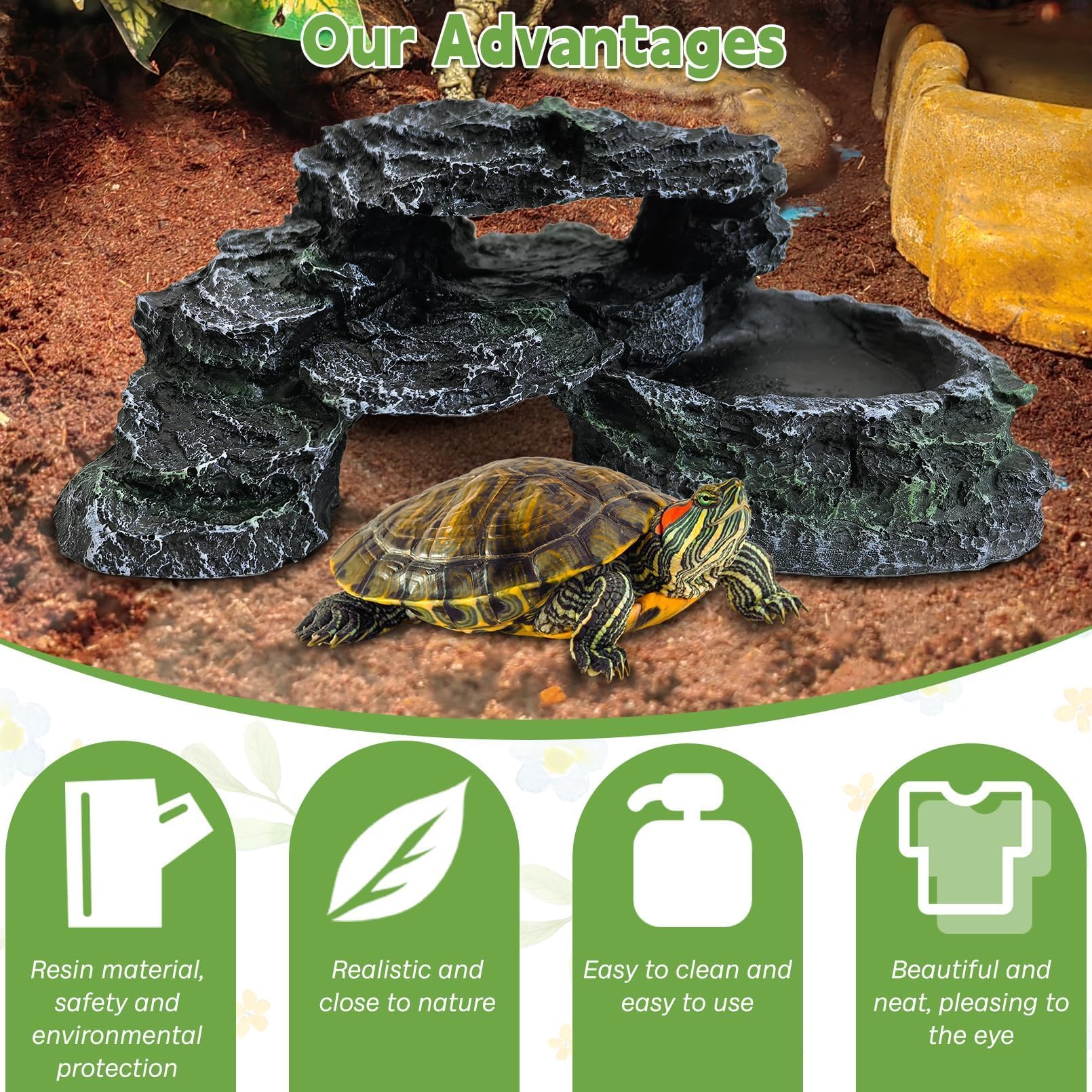PINVNBY comparaison d'échelle montrant taille compacte adaptée aux petits terrariums