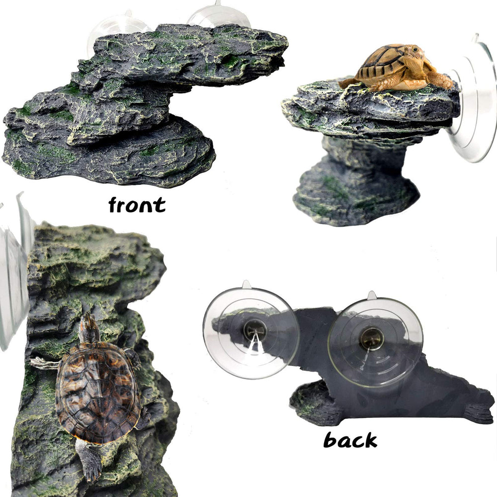 PINVNBY plateforme en aquarium avec tortue offrant repos pratique
