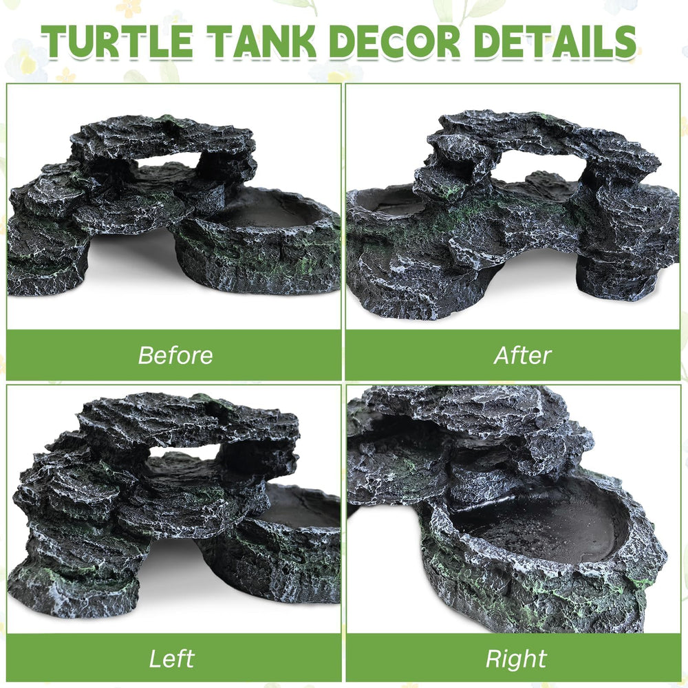PINVNBY en aquarium avec tortue utilisant plateforme pour bronzer