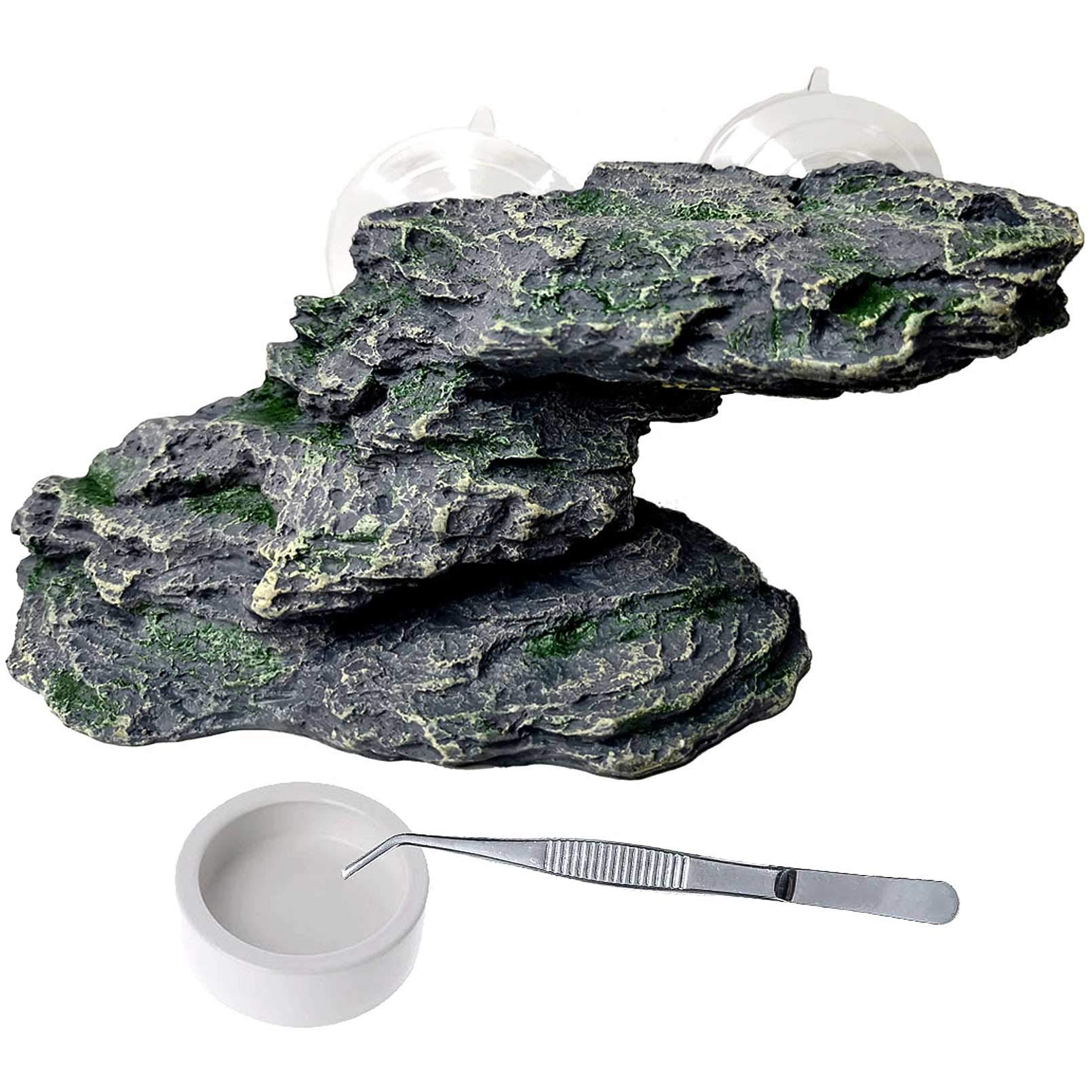 PINVNBY plateforme roche face avant montrant stabilité et attraction