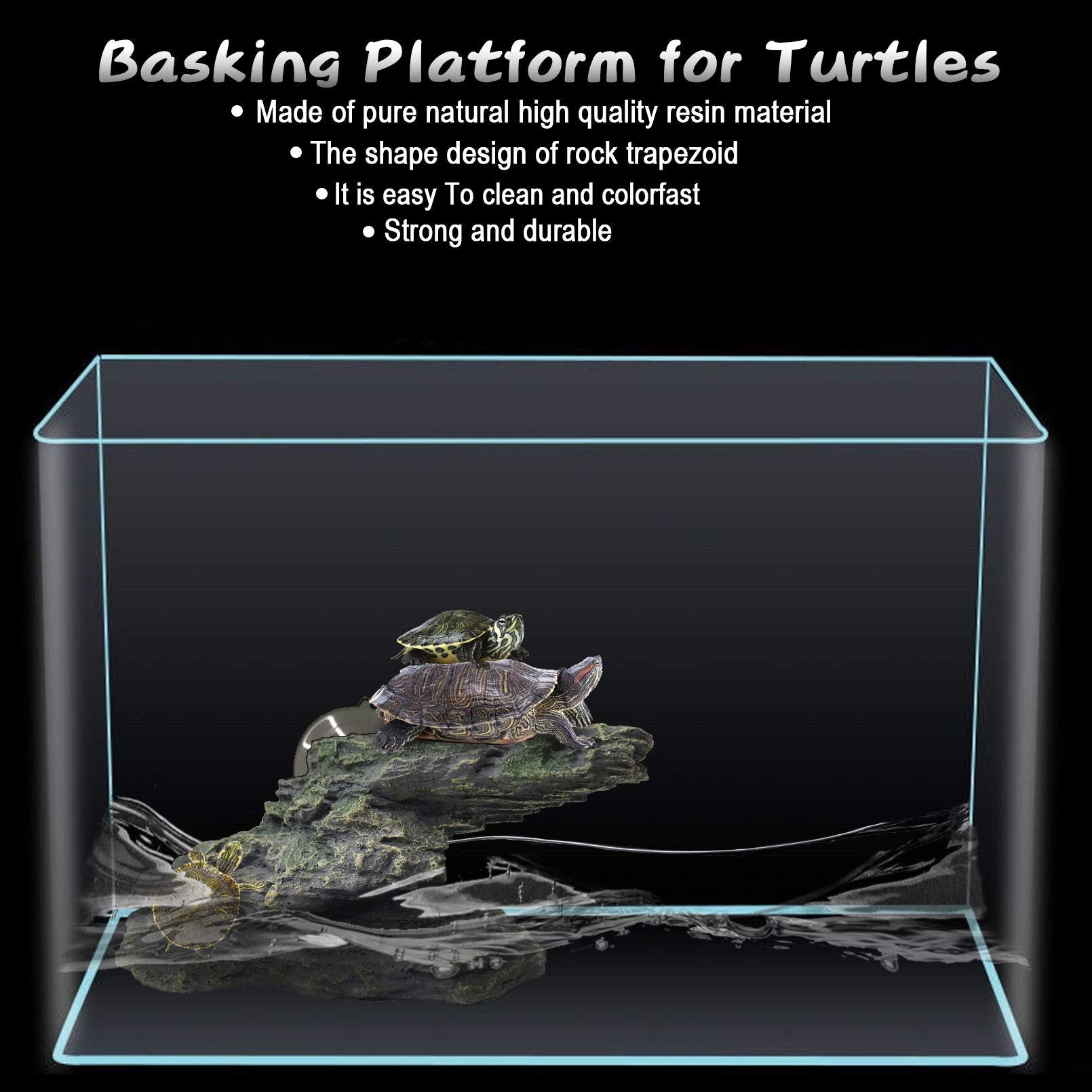 PINVNBY plateforme dans terrarium créant un coin naturel