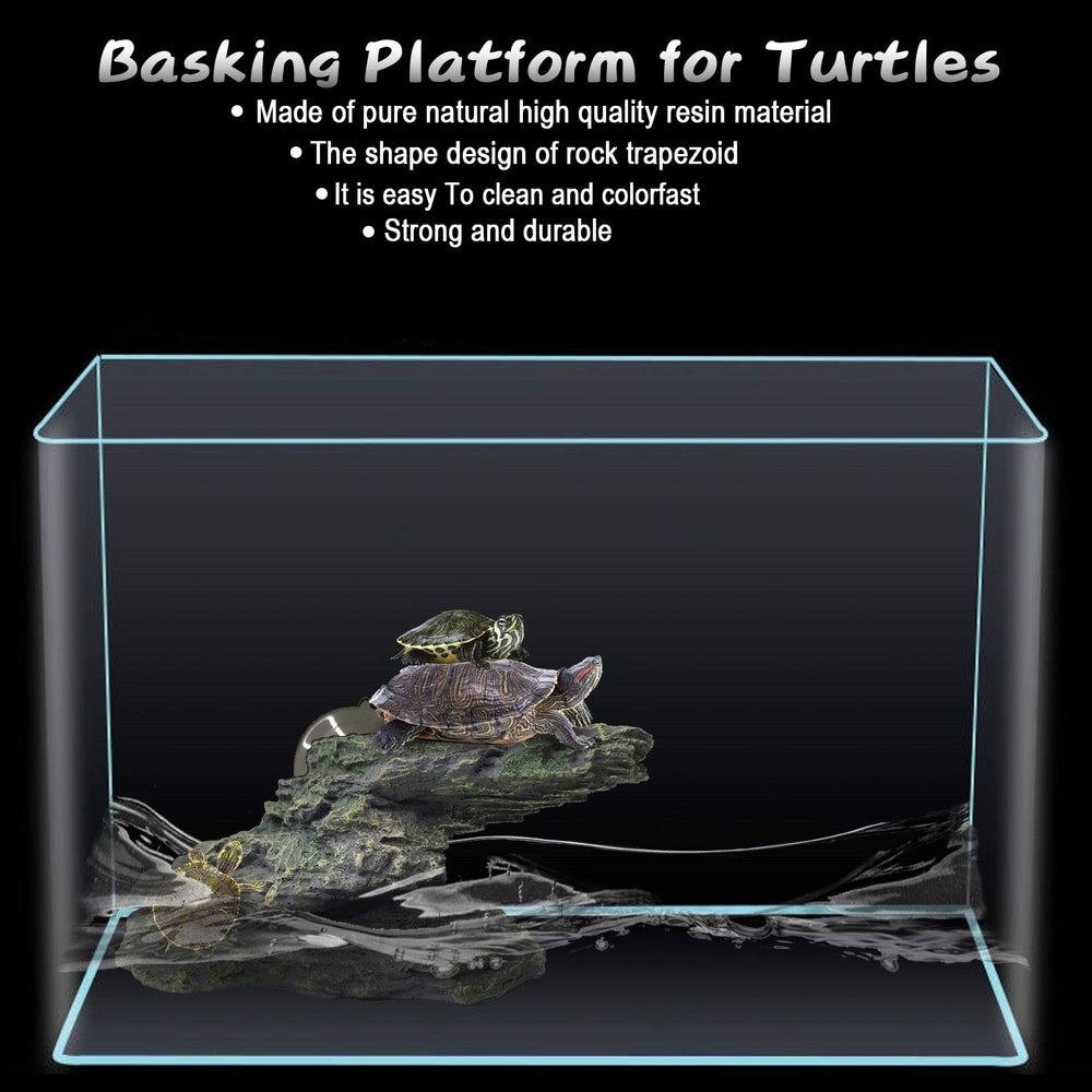 PINVNBY plateforme dans terrarium créant un coin naturel