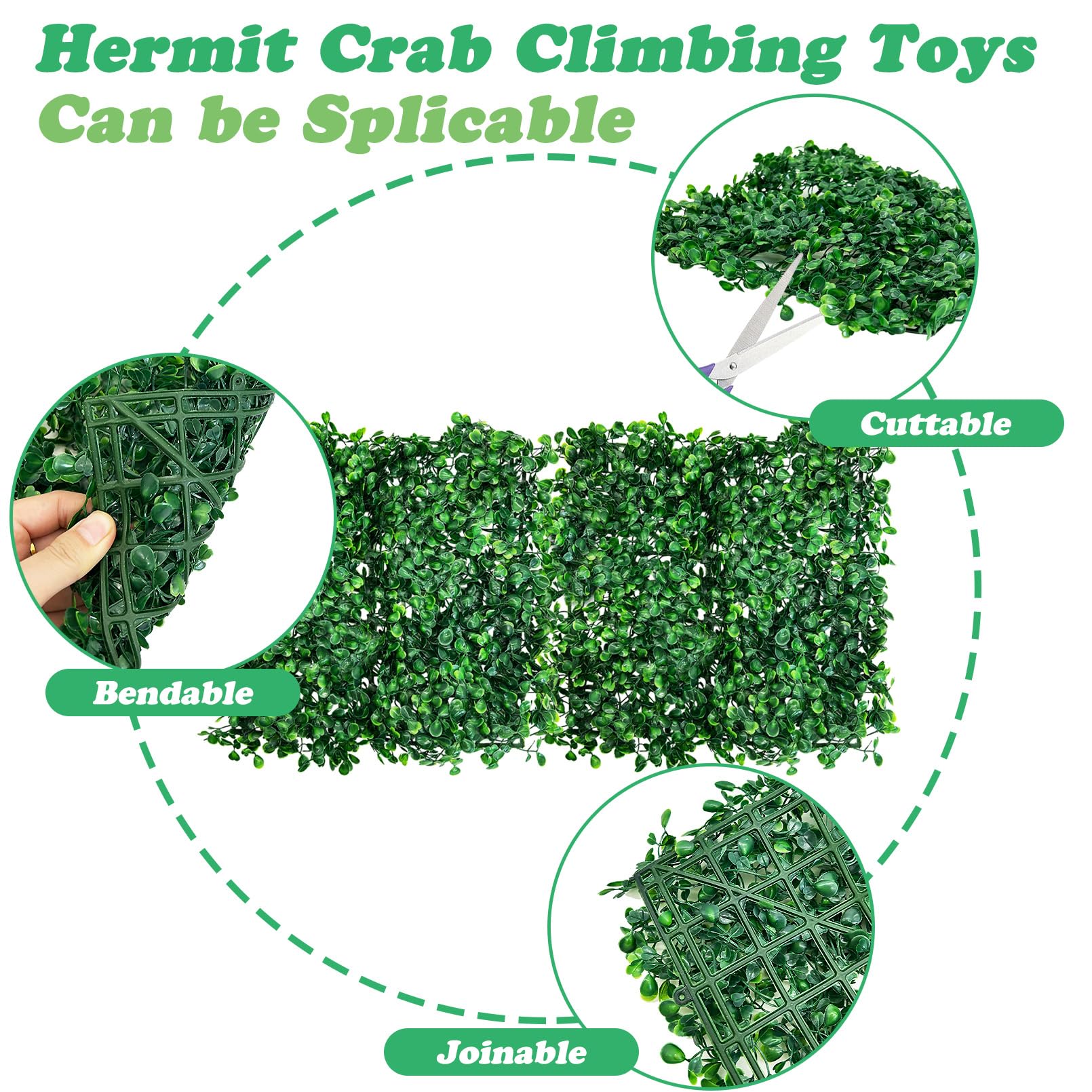 PINVNBY tapis dans terrarium mise en situation stimulant comportement et jeu