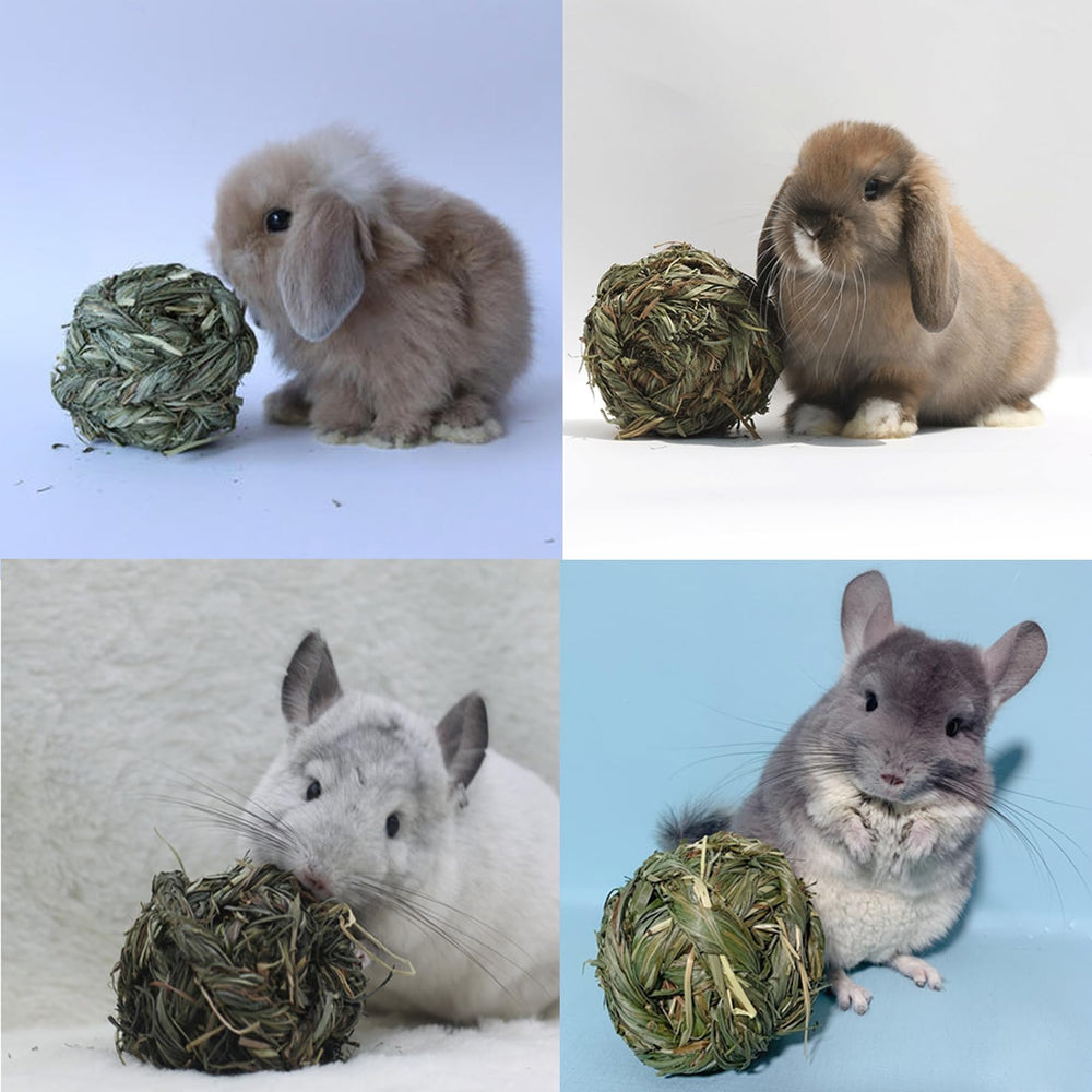 PINVNBY texture du foin affichant fibres naturelles et qualité