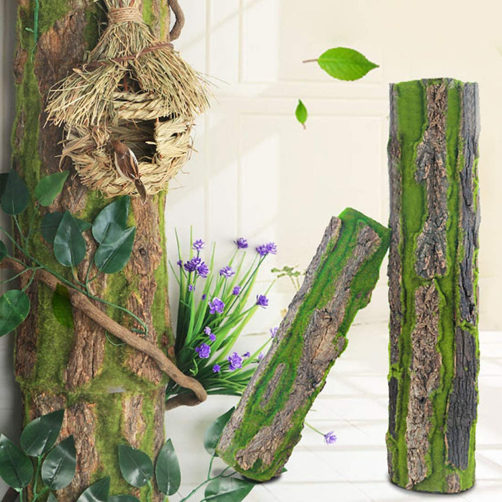 PINVNBY usage décoratif en salon, apportant texture naturelle et élégance