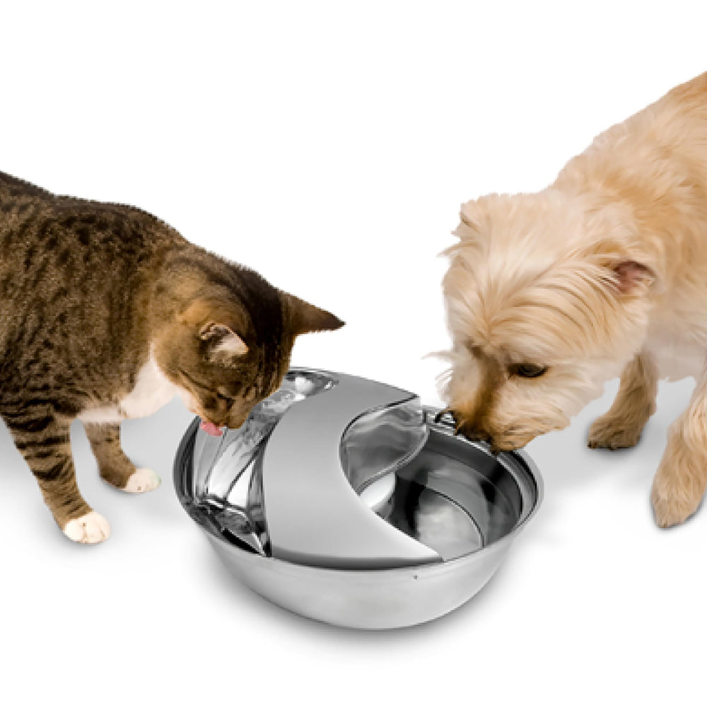 Pioneer Pet fontaine intégrée dans cuisine moderne, esthétique discrète