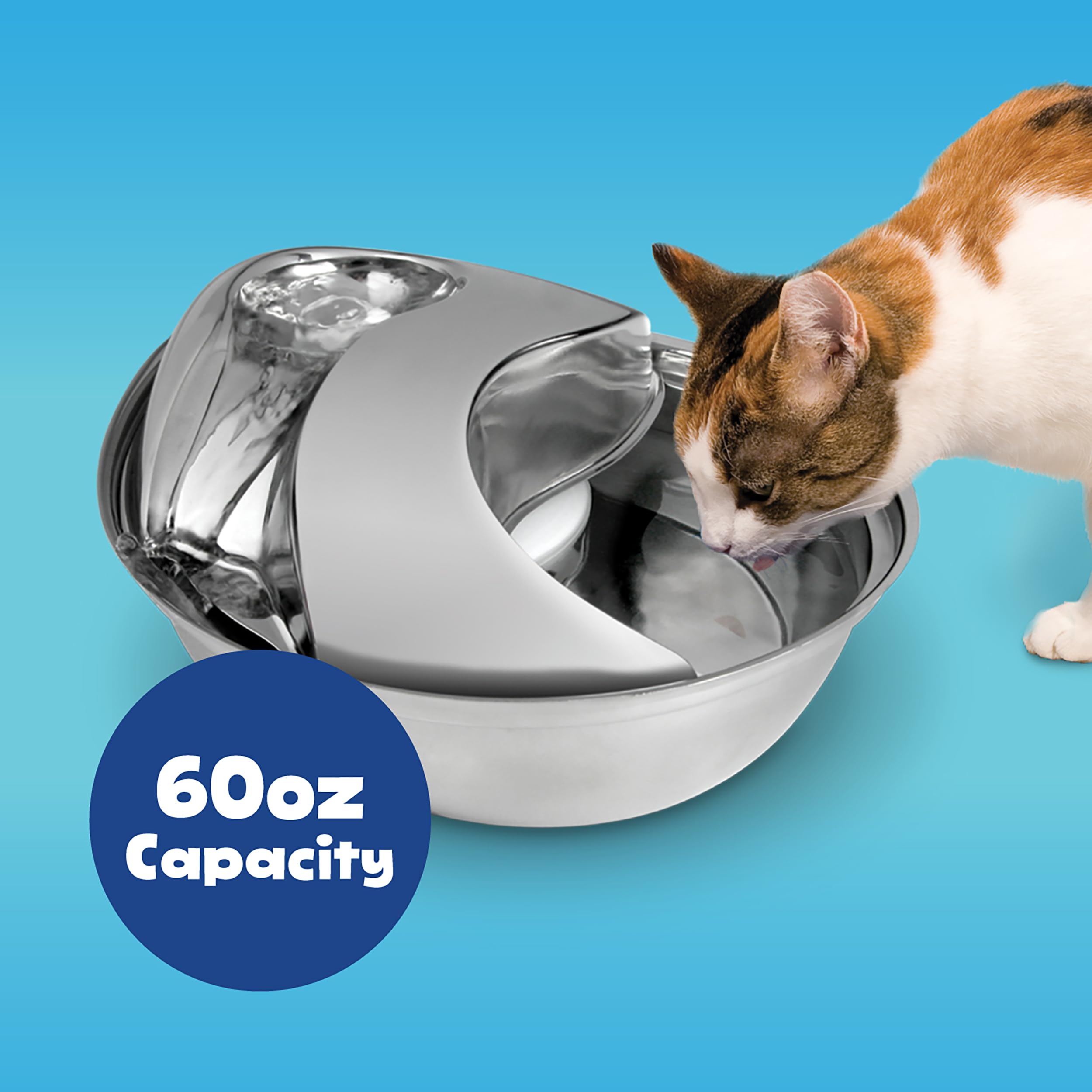 Pioneer Pet vue de dessus montrant capacité et contours faciles à nettoyer