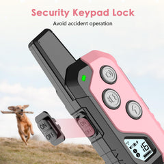 PIOUNS collier en usage extérieur démontrant portée et liberté d'entraînement