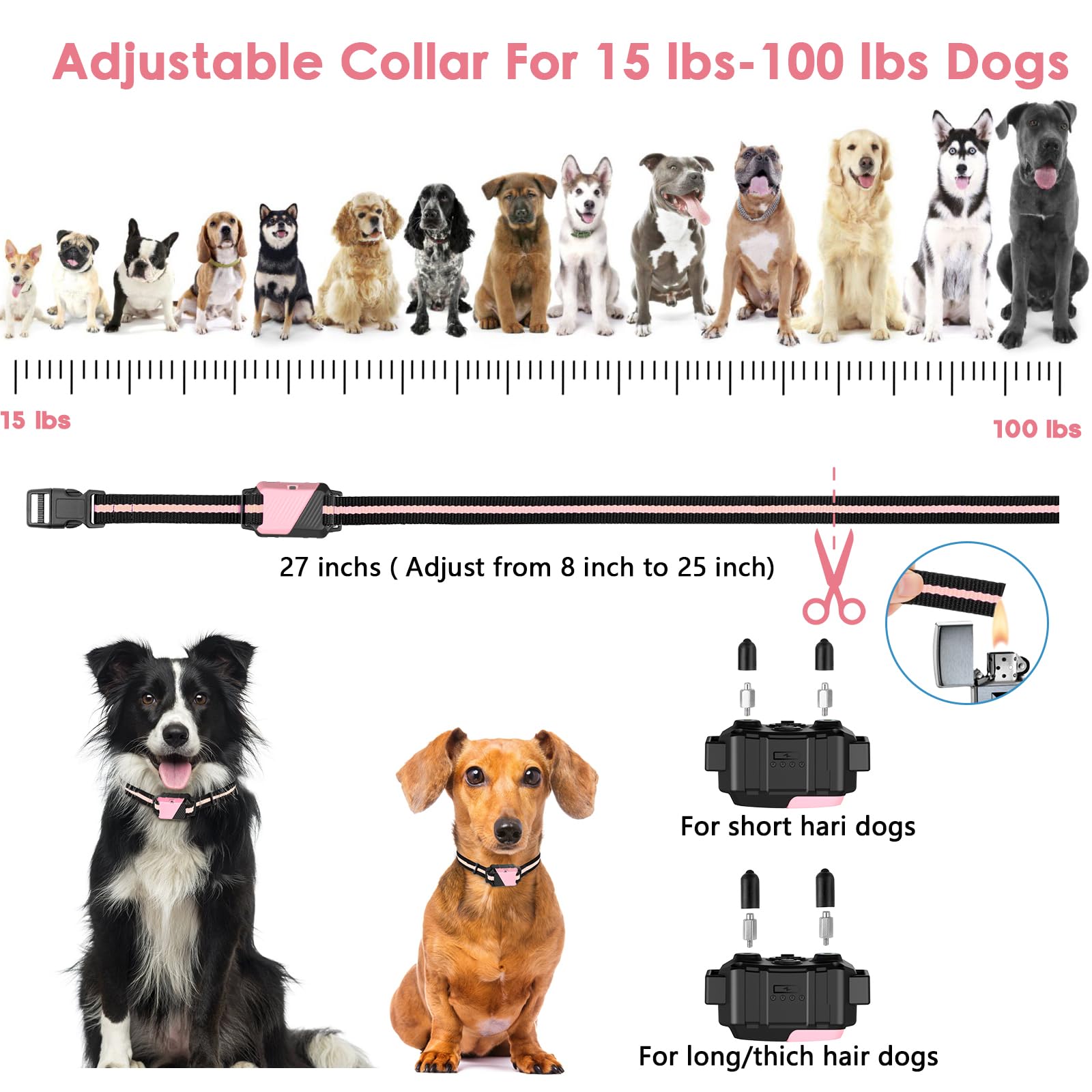 PIOUNS collier sur chien pour comparaison taille et ajustement précis