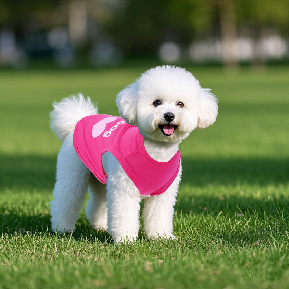 Pistha petit chien porte le t-shirt en extérieur, parfait pour promenades