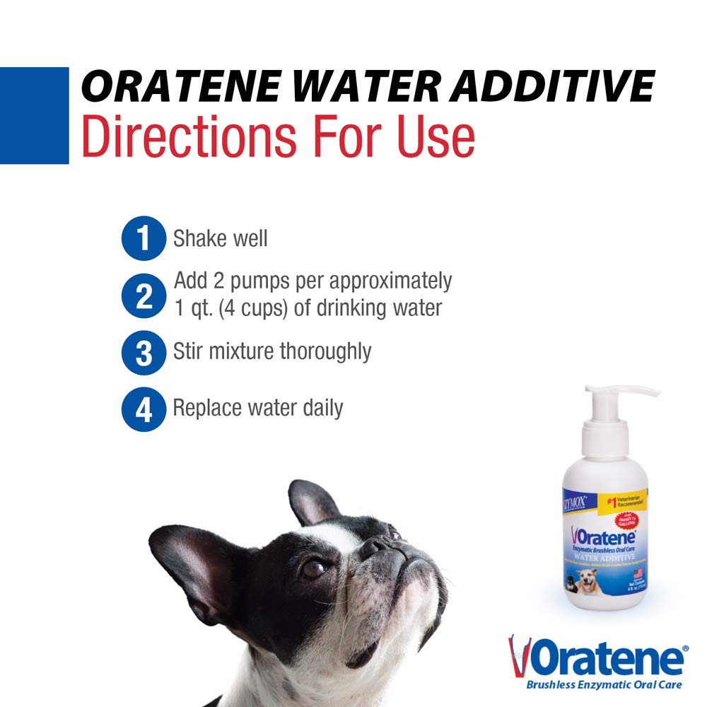 PKB Animal Health chien buvant eau traitée par Zymox Oratene facile pour propriétaires