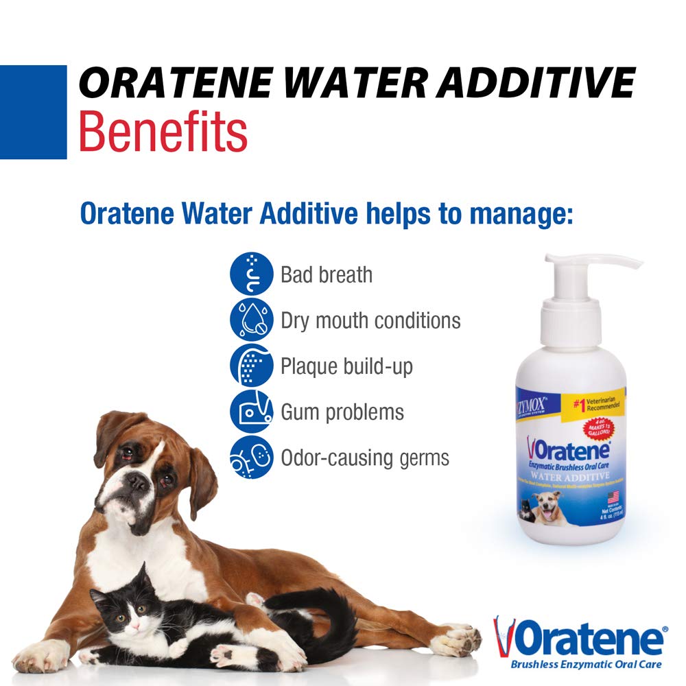 PKB Animal Health pompe-doseuse PET King Zymox Oratene pour un dosage précis et pratique