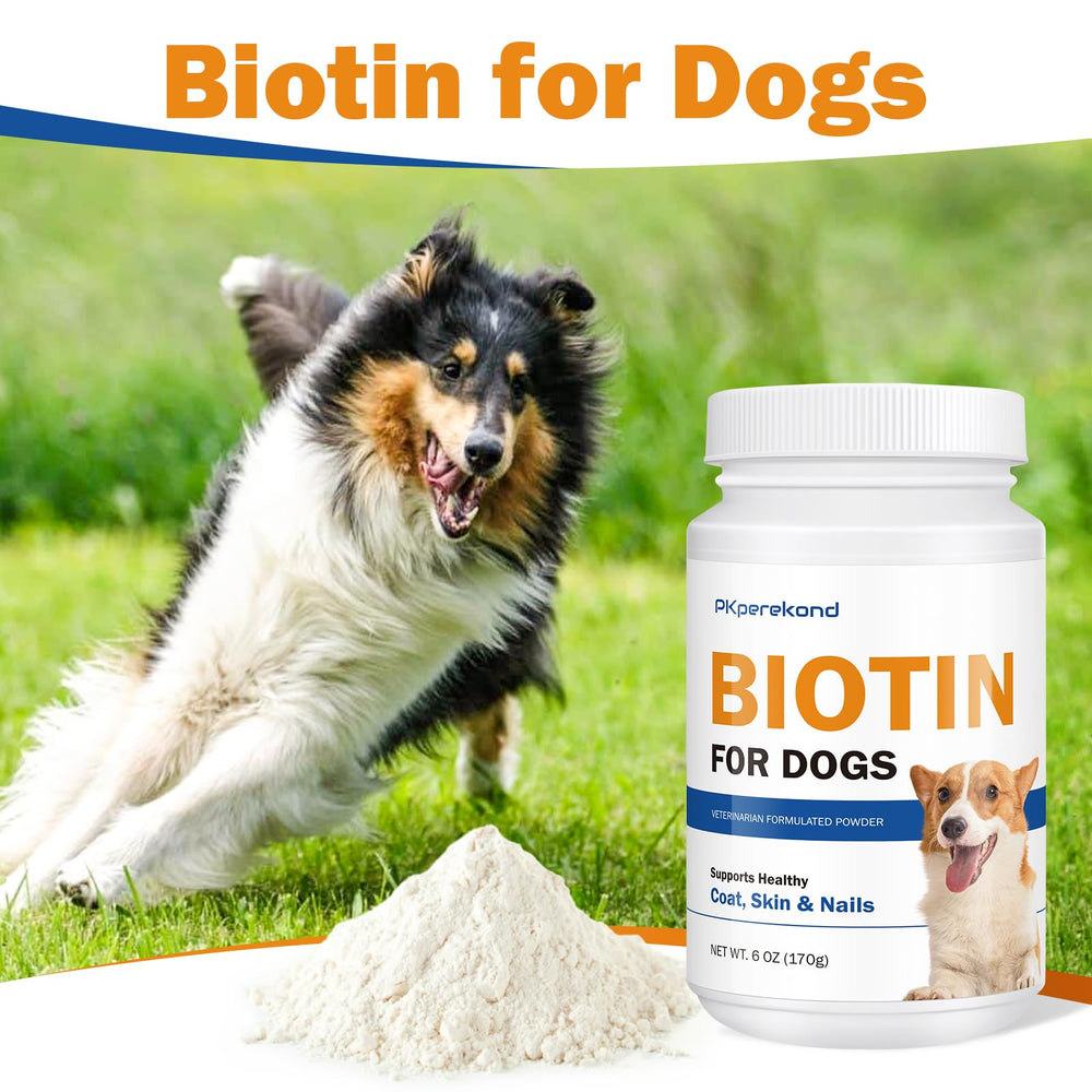 PKperekond style de vie jardin chien actif pelage soigné et sain