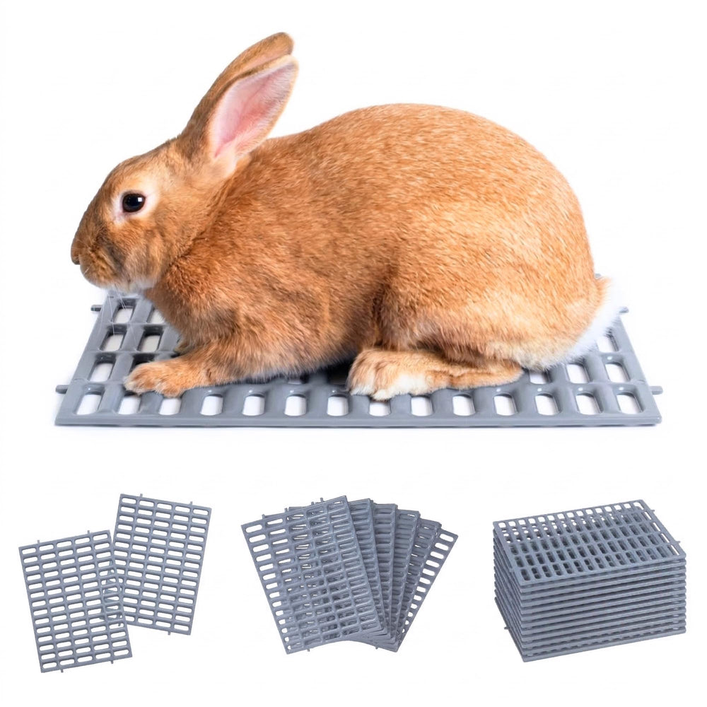 Planet Rabbit vue avant du tapis gris montrant stabilité et couverture