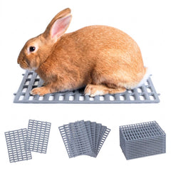 Planet Rabbit vue avant du tapis gris montrant stabilité et couverture