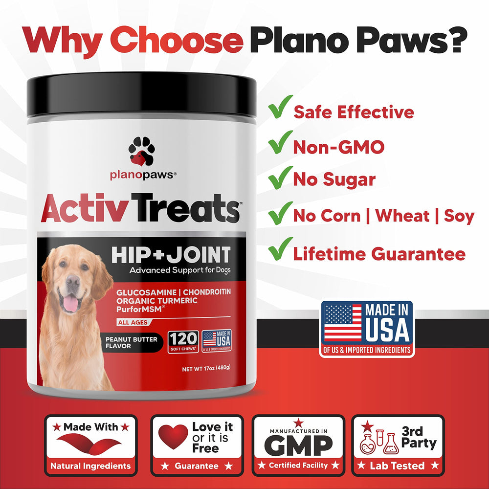 planopaws chew tenu dans la main pour montrer taille pratique et dosage visuel