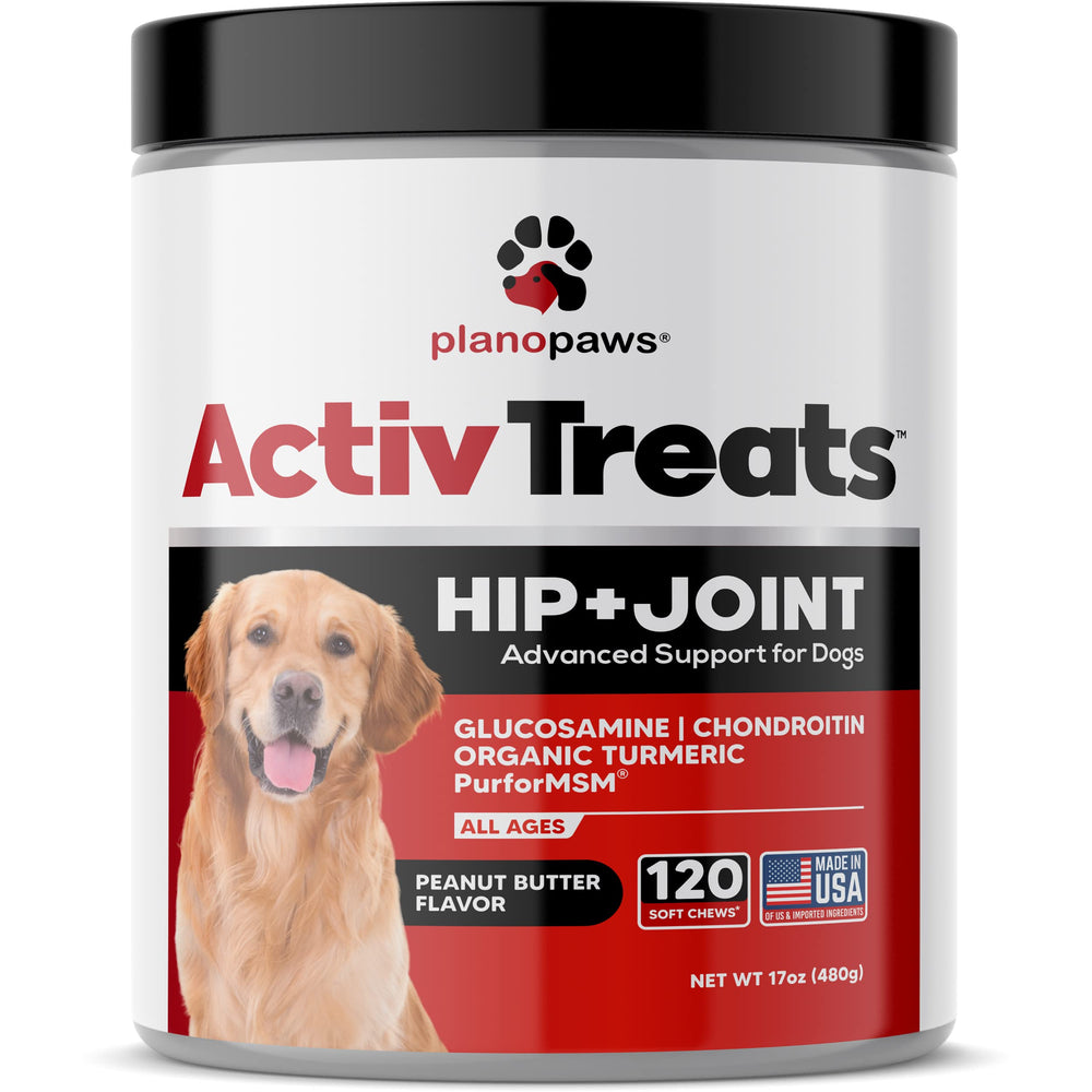 planopaws chien actif avec propriétaire montrant amélioration potentielle mobilité