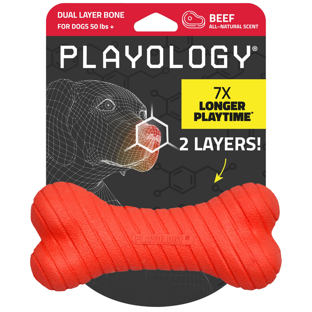 Playology bone vue de face montrant forme résistante et attrait visuel