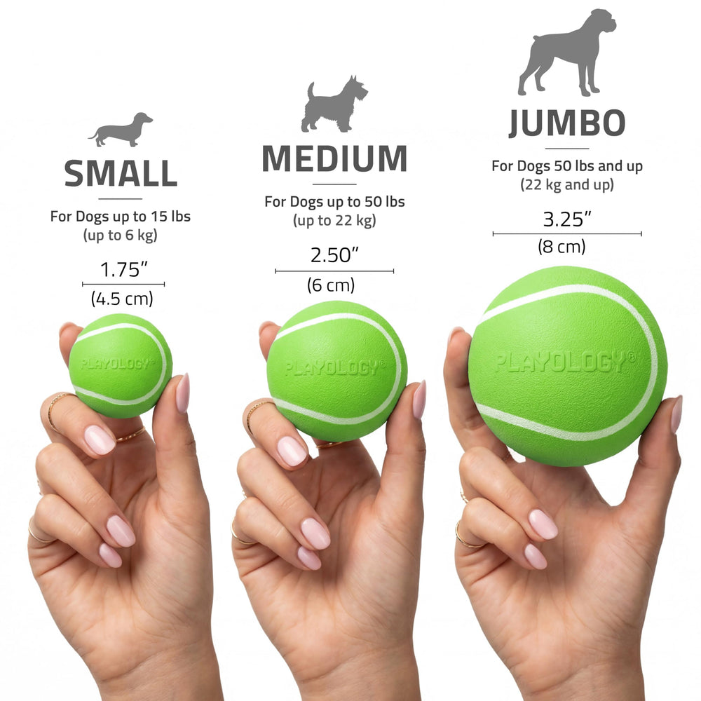 Comparaison Playology taille du ballon à la main pour repère d'échelle