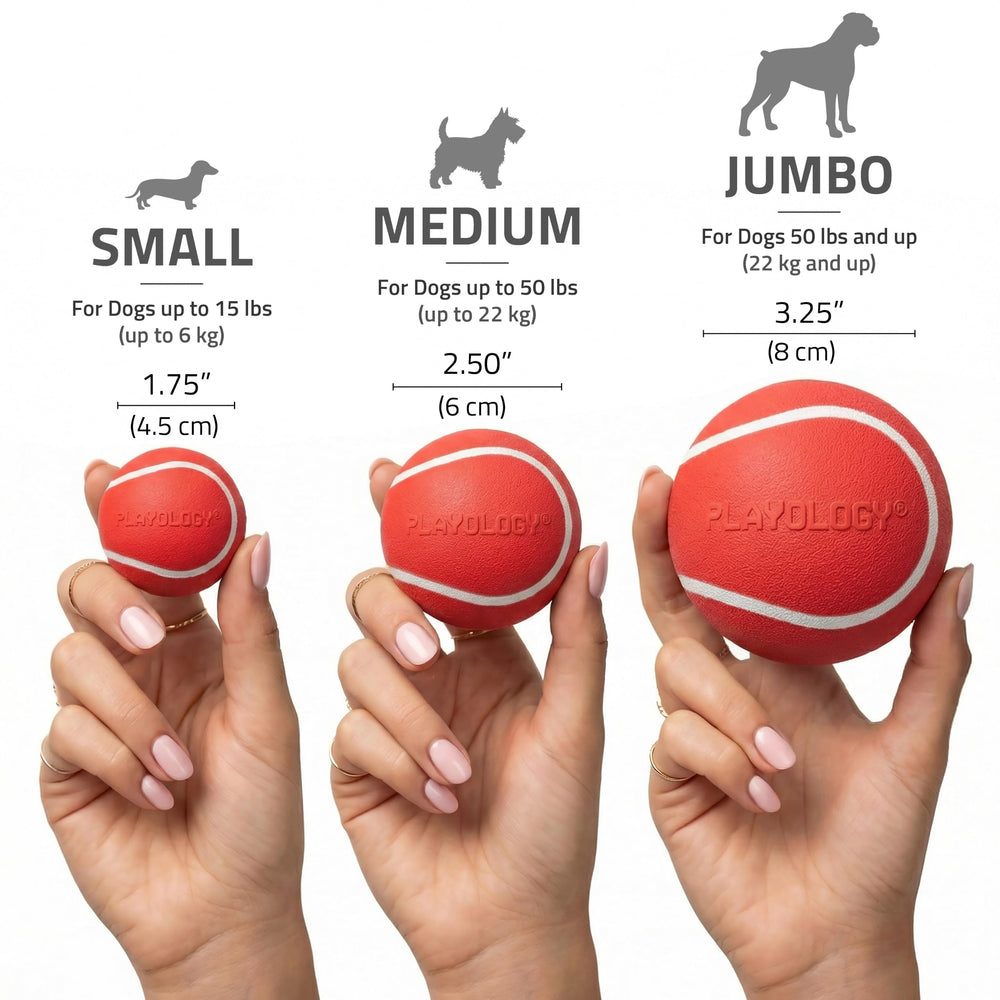Playology comparaison taille main indique dimensions adaptées petits chiens