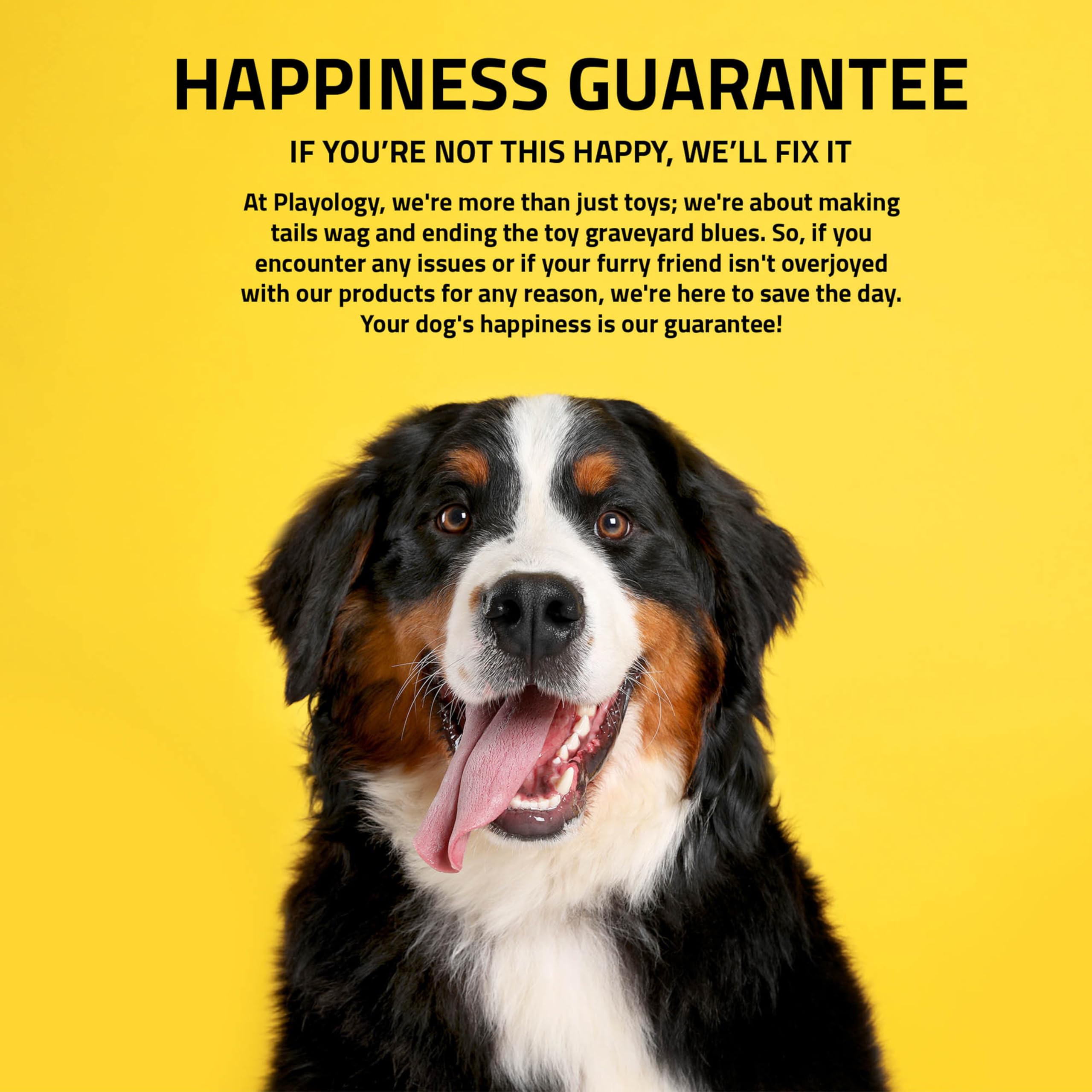 Playology mise en scène extérieure offrant divertissement durable au chien