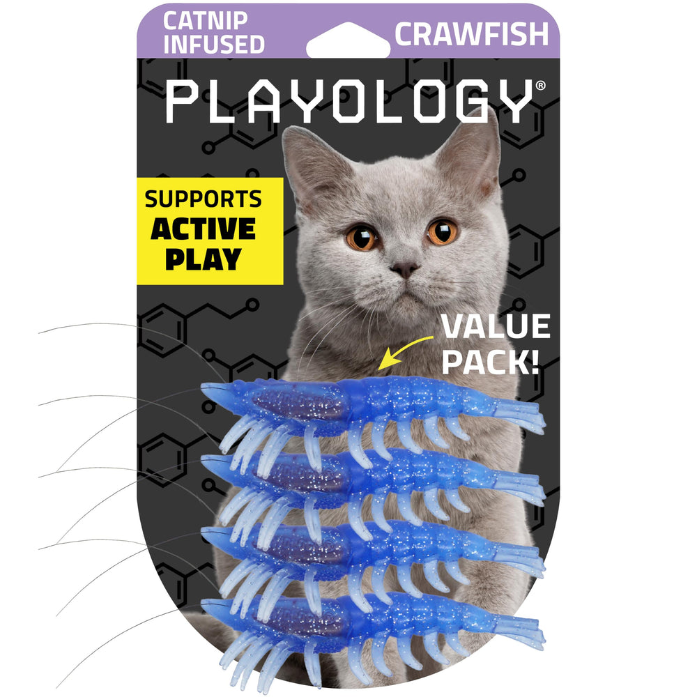 Playology emballage avant montrant le pack de 4 et l'herbe à chat, attire l'œil